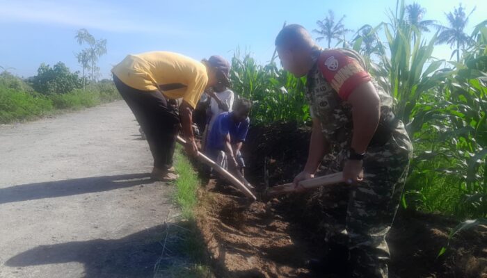 Babinsa Lembar Dampingi Petani Perkuat Infrastruktur Pertanian