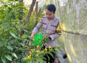 Bhabinkamtibmas Desa Kumbang Dorong Ketahanan Pangan dan Ajak Warga Jaga Kamtibmas