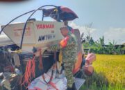Kolaborasi TNI dan Petani Wujudkan Panen Berkualitas di Gunungsari