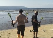 Wakapolsek Moyo Hilir Hadiri Penanaman Pohon Mangrove dan Apel Gladi Kesiapsiagaan Bencana di Pungkit