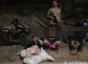 Gerak Cepat Polisi, Tiga Pembawa Daging Sapi Diduga Hasil Curian Diamankan di Sape