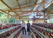 Dukung Program Ketahanan Pangan Bhabinkamtibmas Desa Sakra Selatan Monitoring