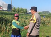 Kunci Sukses Panen Jagung Melimpah: Simak Dialog Edukatif Bhabinkamtibmas dan Petani untuk Ketahanan Pangan Nasional