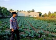 Bhabinkamtibmas Desa Masbagik Timur Monitoring Ketahanan Pangan dan Ajak Warga Jaga Kamtibmas