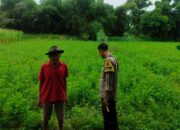 Bhabinkamtibmas Lombok Barat dampingi Petani Desa Bengkel