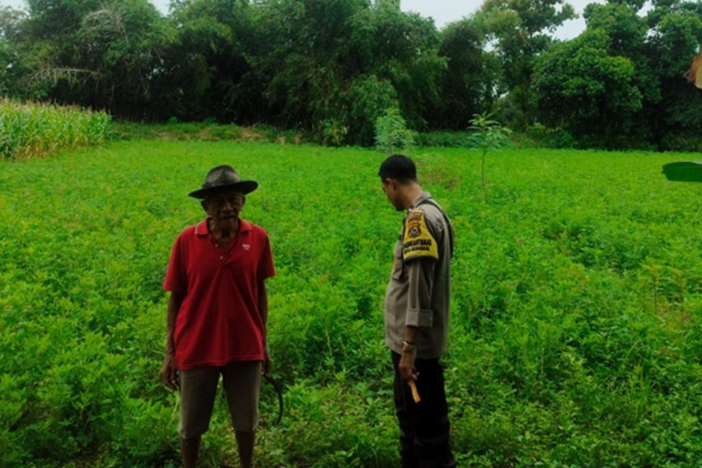 Sinergi Polsek Labuapi dan Petani Jaga Ketahanan Pangan
