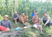 Bhabinkamtibmas Desa Suradadi Laksanakan Silaturahmi dan Sambang kepada Tokoh Masyarakat serta Kelompok Tani Obes