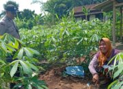 Kunci Sukses Polsek Labuapi Dorong Ketahanan Pangan Lewat Pekarangan Produktif