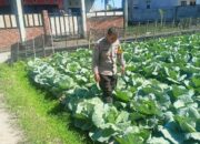 Bhabinkamtibmas Desa Masbagik Utara Monitoring Tanaman Hortikultura, Dukung Ketahanan Pangan dan Ajak Warga Jaga Kamtibmas