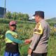 Sinergi Bhabinkamtibmas dan Petani Lombok Barat Perkuat Ketahanan Pangan Desa