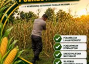 POLSEK TUBAN DUKUNG KETAHANAN PANGAN NASIONAL MELALUI PENGECEKAN TANAMAN JAGUNG