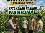 Dukung Astacita, Polsek Jatirogo Polresta Tuban Pantau Langsung Lahan Jagung milik warga Desa Ketodan