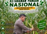 Polri Dukung Astacita, Polsek Merakurak Polres Tuban Turun Cek Tanaman Jagung Warga di Desa Tuwiri Wetan
