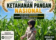 Polsek Soko Polresta Tuban Turun Langsung Cek Tanaman Jagung Warga