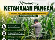 Bhabinkamtibmas Polsek Tuban Sambangi Lahan Jagung, Dukung Program Ketahanan Pangan Nasional