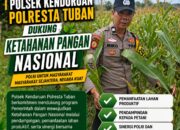 Polisi RW Polsek Kenduruan Polresta Tuban Cek Lahan Jagung Warga, Wujud Nyata Dukung Ketahanan Pangan Nasional