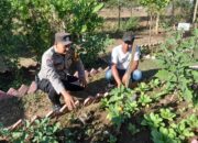 Dukung Ketahanan Pangan Nasional, Bhabinkamtibmas Kelurahan Brang Biji Sambangi Petani dan Ajak Manfaatkan Pekarangan
