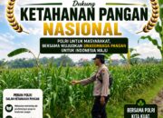 Polsek Soko Polresta Tuban Turun Langsung Cek Tanaman Jagung Warga