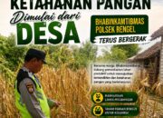 Polri Dukung Astacita, Polsek Rengel Polres Tuban Turun Cek Tanaman Padi Warga di Desa Maibit