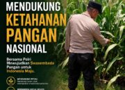 Polsek Tuban Dukung Ketahanan Pangan Nasional Melalui Monitoring Tanaman Jagung