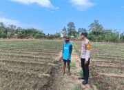 Dukung Ketahanan Pangan Nasional, Bhabinkamtibmas Desa Suka Damai Sambangi Petani Cabai dan Dorong Pemanfaatan Pekarangan