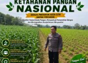 Polri Dukung Astacita, Polsek Merakurak Polres Tuban Turun Cek Tanaman Jagung Warga di Desa Tuwiri Wetan