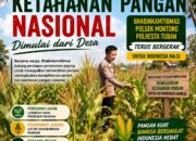 Polsek Montong Polresta Tuban Turun Cek Tanaman jagung Warga di Desa Pakel