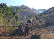Babinsa Sekotong Edukasi Petani Cegah Lahan Terbakar