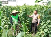Dukung Swasembada Pangan, Polsek Labuapi Dampingi Petani Optimalkan Lahan di Lombok Barat