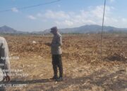 CEK KESIAPAN PANEN RAYA JAGUNG, KAPOLSEK HU’U TINJAU LAHAN DI DESA SAWE