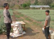 Bhabinkamtibmas Desa Rababaka Sambangi Warga, Ajak Dukung Program Pemerintah dan Jaga Produktivitas Bawang Merah