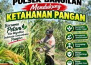 Polsek Bangilan Dukung Ketahanan Pangan Melalui Monitoring Tanaman Jagung