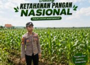 Anggota Polsek Singgahan Polresta Tuban Turun Cek Tanaman jagung Warga di Desa Lajo Lor