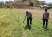 Seorang Petani di Moyo Hilir Meninggal Dunia Akibat Tersengat Aliran Listrik di Area Persawahan