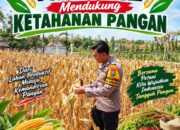 Dukung Program Asta Cita Presiden, Anggota Bhabinkamtibmas Polsek Senori Polresta Tuban Lakukan Pemantauan Tanaman Jagung Warga Desa Sendang
