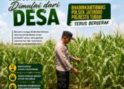 Wujudkan Swasembada Pangan, Polsek Jatirogo sambang lokasi lahan Jagung di Desa Jatiklabang