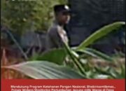 Mendukung Program Ketahanan Pangan, Bhabinkamtibmas Monitoring Pertumbuhan Jagung