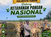 Polri Dukung Astacita, Polsek Rengel Polresta Tuban Turun Cek Tanaman Jagung Warga di Desa Pekuwon