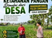 Anggota Polsek Singgahan Polresta Tuban Turun Cek Tanaman jagung Warga di Desa Mulyorejo