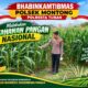 Polsek Montong Polresta Tuban Turun Cek Tanaman jagung Warga di Desa Pakel