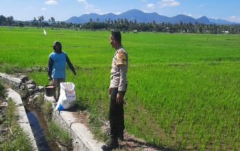 Dukung Ketahanan Pangan Nasional, Bhabinkamtibmas Polsek Utan Sambangi Petani di Desa Motong