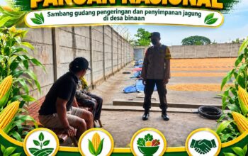 “POLSEK KEREK SAMBANG GUDANG PENAMPUNGAN JAGUNG, DUKUNG KETAHAN PANGAN NASIONAL”
