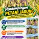 Mendukung Program Ketahanan Pangan, Bhabinkamtibmas Monitoring Pertumbuhan Jagung