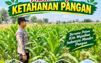Dukung Program Asta Cita Presiden, Anggota Bhabinkamtibmas Polsek Senori Polresta Tuban Lakukan Pemantauan Tanaman Jagung Warga Desa Jatisari