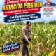 Dukung Program Astacita Presiden, Bhabinkamtibmas Polsek Kenduruan Polresta Tuban Cek Perkembangan Tanaman Jagung Warga .