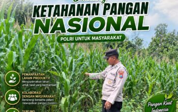 Dukung Ketahanan Pangan Nasional, Polsek Bangilan Bersinergi dengan Petani Jagung