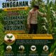 Anggota Polsek Singgahan Polresta Tuban Turun Cek Tanaman jagung Warga di Desa Mulyoagung