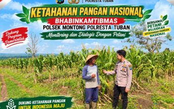 *Polsek Montong Polresta Tuban Turun Cek Tanaman jagung Warga di Desa Bringin*