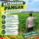 Polri Dukung Astacita, Polsek Merakurak Polres Tuban Turun Cek Tanaman Jagung Warga di Desa Tuwiri Wetan