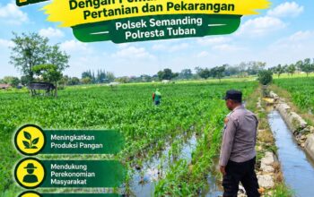 Polri Dukung Astacita, Polsek Semanding Polresta Tuban Turun Cek Tanaman jagung milik Warga di Desa Tegalagung